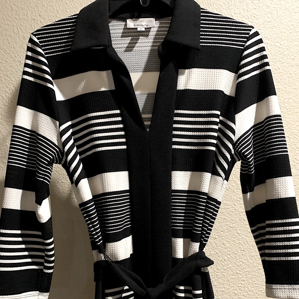 Signature by Robbie Bee dress